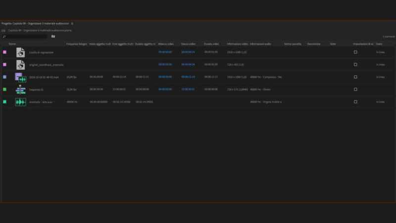 Organizzare il materiale multimediale in Adobe Premiere 2019: il pannello progetto Organizzare il materiale multimediale in Adobe Premiere 2019: il pannello progetto