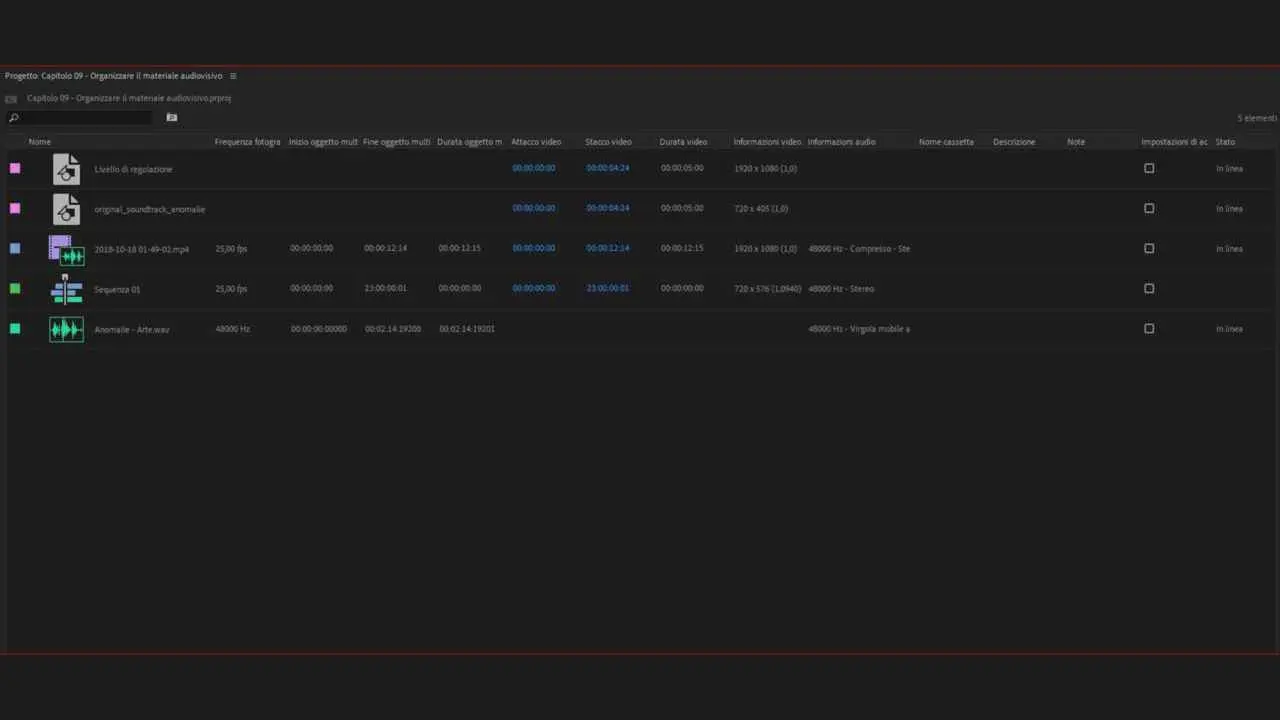 Organizzare il materiale multimediale in Adobe Premiere 2019: il pannello progetto