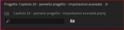 Adobe Premiere Pro 2019: pannello progetto - ricerca