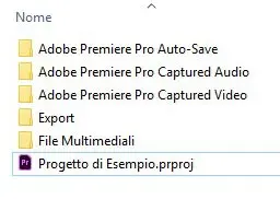 Come organizzare bene i progetti Adobe Premiere Come organizzare bene i progetti Adobe Premiere