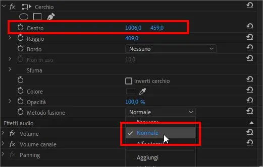 Opzioni da modificare per coprire un volto con un cerchio