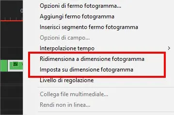 Adobe Premiere: imposta e ridimensiona a dimensione fotogramma