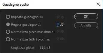 Pannello Guadagno Audio di Adobe Premiere Pro
