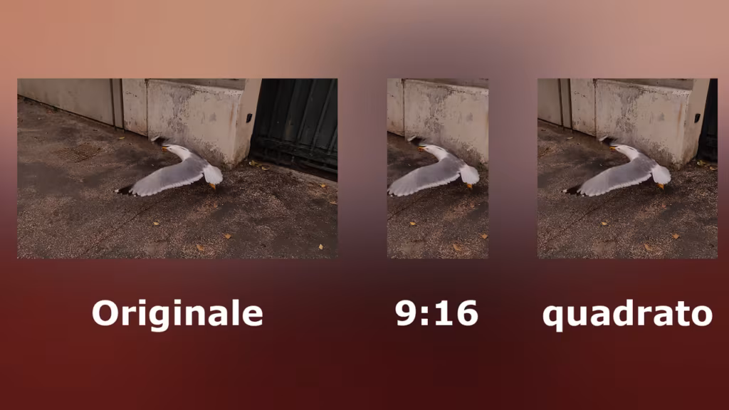Auto Reframe in Adobe Premiere 2020