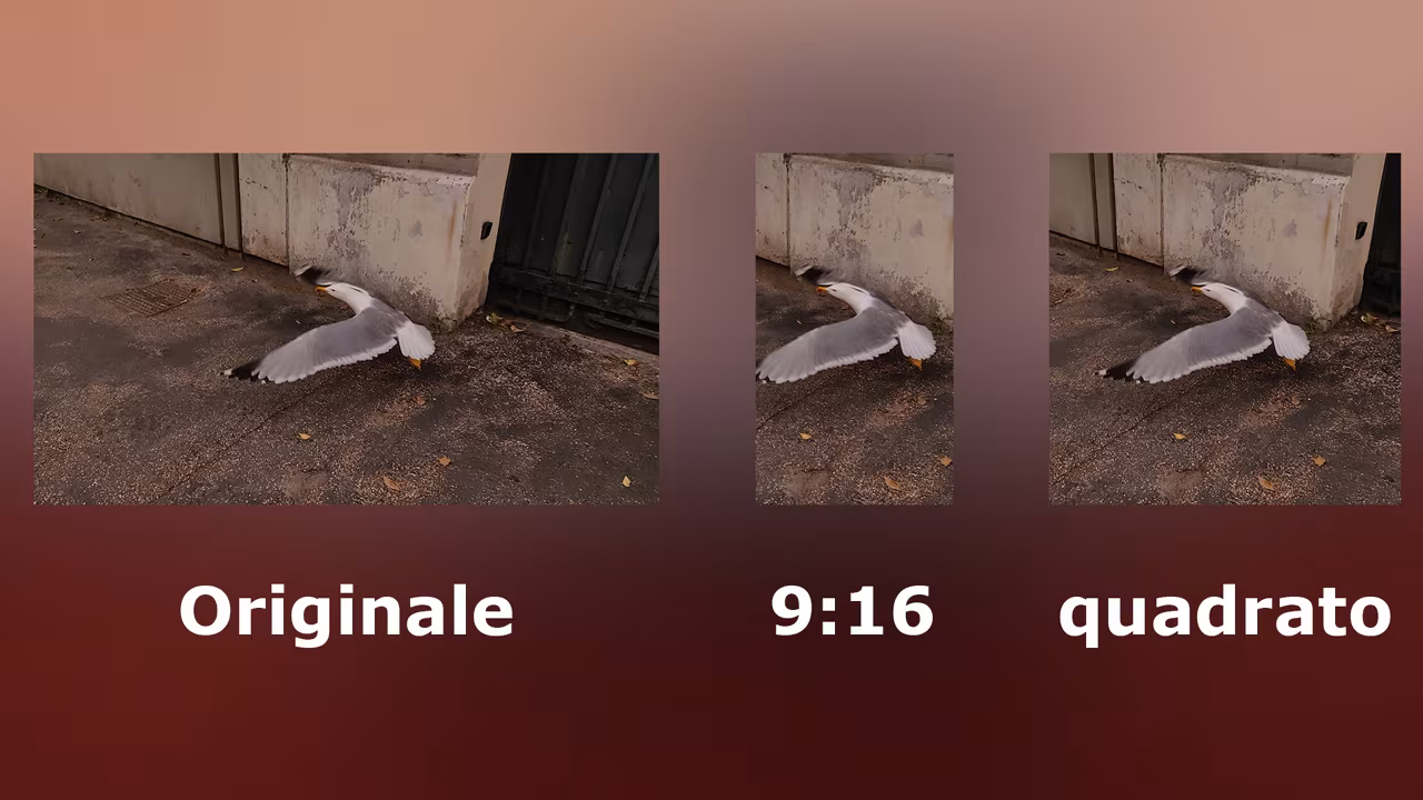 Auto Reframe in Adobe Premiere 2020