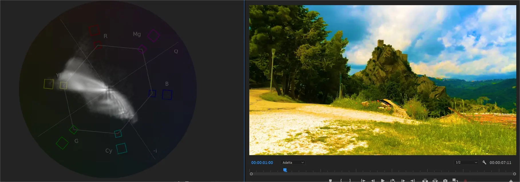 Un esempio di immagine troppo satura rappresentata nel vettorscopio