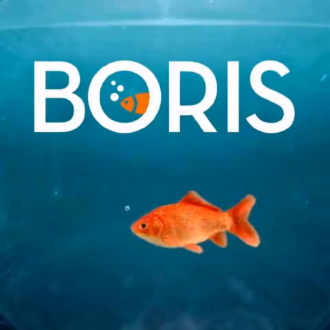 Boris: logo