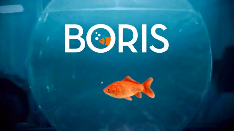 Boris: logo