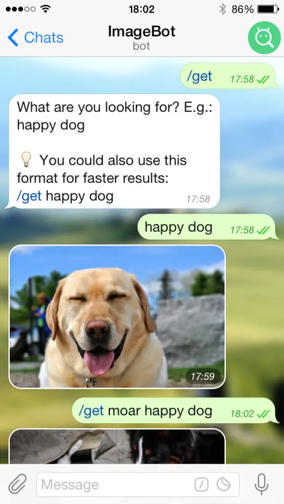 Bot di Telegram: cosa sono, a cosa servono e come funzionano?