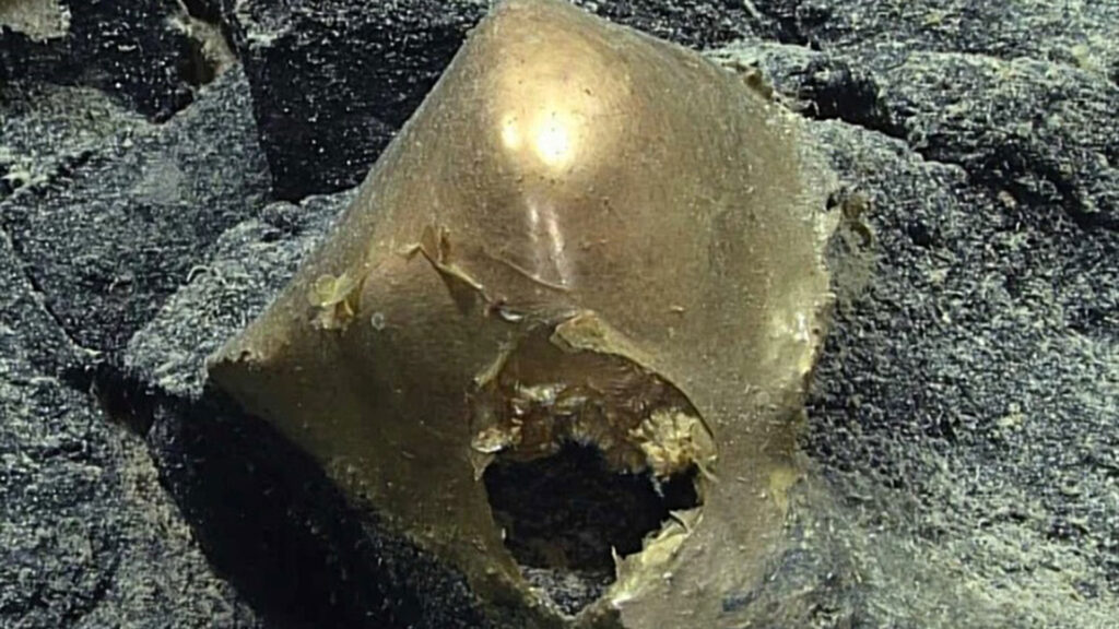 Sfera dorata in Alaska: svelato il mistero dell’uovo degli abissi