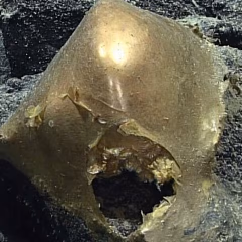 Sfera dorata in Alaska: svelato il mistero dell'uovo degli abissi