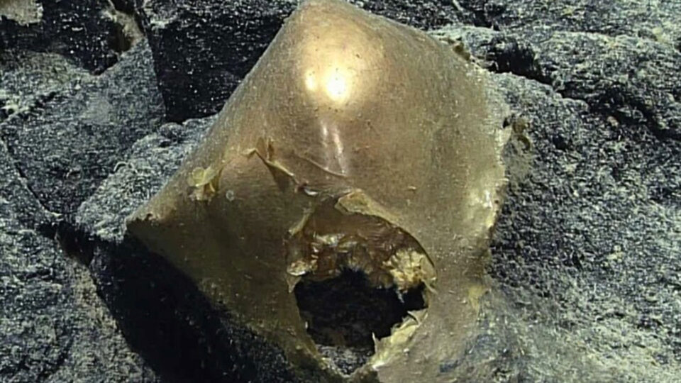 Sfera dorata in Alaska: svelato il mistero dell'uovo degli abissi